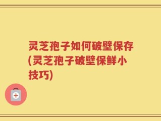 灵芝孢子如何破壁保存(灵芝孢子破壁保鲜小技巧)