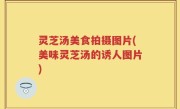 灵芝汤美食拍摄图片(美味灵芝汤的诱人图片)