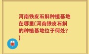 河南铁皮石斛种植基地在哪里(河南铁皮石斛的种植基地位于何处？)
