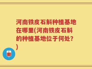 河南铁皮石斛种植基地在哪里(河南铁皮石斛的种植基地位于何处？)