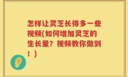 怎样让灵芝长得多一些视频(如何增加灵芝的生长量？视频教你做到！)