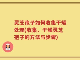 灵芝孢子如何收集干燥处理(收集、干燥灵芝孢子的方法与步骤)