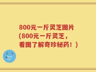 800元一斤灵芝图片(800元一斤灵芝，看图了解奇珍秘药！)