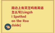 路边上有灵芝吗用英语怎么写(Lingzhi Spotted on the Roadside)