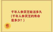 千年人参灵芝能活多久(千年人参灵芝的寿命是多少？)