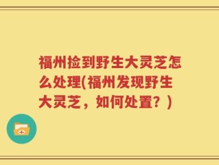 福州捡到野生大灵芝怎么处理(福州发现野生大灵芝，如何处置？)
