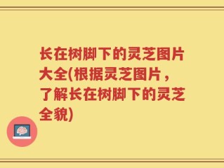 长在树脚下的灵芝图片大全(根据灵芝图片，了解长在树脚下的灵芝全貌)