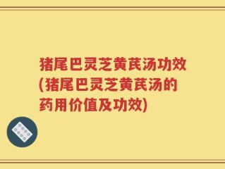 猪尾巴灵芝黄芪汤功效(猪尾巴灵芝黄芪汤的药用价值及功效)