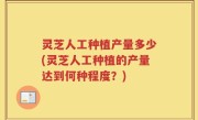 灵芝人工种植产量多少(灵芝人工种植的产量达到何种程度？)