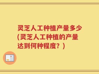 灵芝人工种植产量多少(灵芝人工种植的产量达到何种程度？)