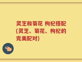 灵芝和菊花 枸杞搭配(灵芝、菊花、枸杞的完美配对)