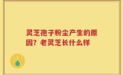 灵芝孢子粉尘产生的原因？老灵芝长什么样