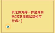 灵芝像海绵一样是真的吗(灵芝海绵状结构可行吗？)