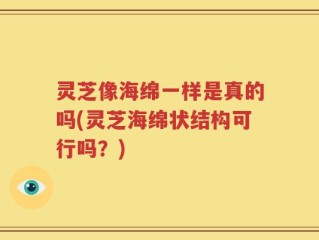灵芝像海绵一样是真的吗(灵芝海绵状结构可行吗？)