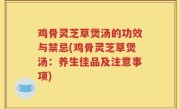 鸡骨灵芝草煲汤的功效与禁忌(鸡骨灵芝草煲汤：养生佳品及注意事项)