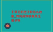 干灵芝的孢子粉怎么收集_如何高效收集灵芝孢子粉