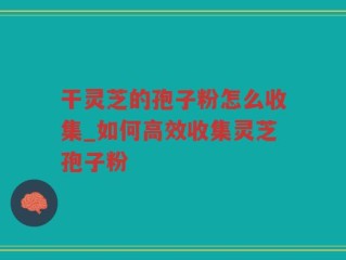 干灵芝的孢子粉怎么收集_如何高效收集灵芝孢子粉