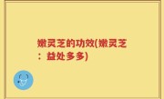 嫩灵芝的功效(嫩灵芝：益处多多)