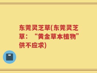 东莞灵芝草(东莞灵芝草：“黄金草本植物”供不应求)