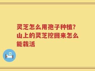 灵芝怎么用孢子种植？山上的灵芝挖回来怎么能栽活