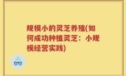 规模小的灵芝养殖(如何成功种植灵芝：小规模经营实践)