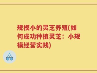 规模小的灵芝养殖(如何成功种植灵芝：小规模经营实践)
