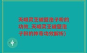 天峨灵芝破壁孢子粉的功效_天峨灵芝破壁孢子粉的神奇功效解析)