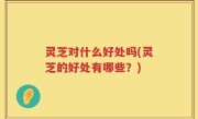 灵芝对什么好处吗(灵芝的好处有哪些？)
