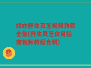 找吃野生灵芝视频教程全集(野生灵芝食用指南视频教程合辑)