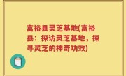 富裕县灵芝基地(富裕县：探访灵芝基地，探寻灵芝的神奇功效)