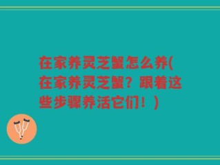 在家养灵芝蟹怎么养(在家养灵芝蟹？跟着这些步骤养活它们！)