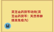 灵芝山药茯芩功效(灵芝山药茯芩：天然养肺提高免疫力)