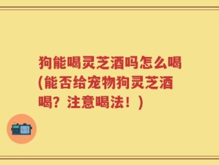 狗能喝灵芝酒吗怎么喝(能否给宠物狗灵芝酒喝？注意喝法！)
