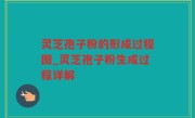 灵芝孢子粉的形成过程图_灵芝孢子粉生成过程详解