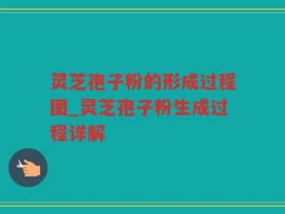 灵芝孢子粉的形成过程图_灵芝孢子粉生成过程详解