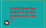 贵阳灵芝菌种苗基地在哪里(贵阳灵芝菌种苗基地的具体位置在哪里？)