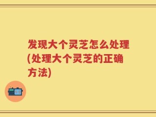 发现大个灵芝怎么处理(处理大个灵芝的正确方法)