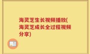 海灵芝生长视频播放(海灵芝成长全过程视频分享)