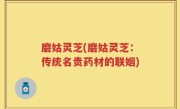 磨姑灵芝(磨姑灵芝：传统名贵药材的联姻)