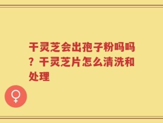 干灵芝会出孢子粉吗吗？干灵芝片怎么清洗和处理