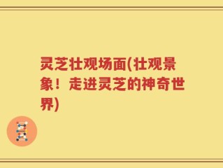 灵芝壮观场面(壮观景象！走进灵芝的神奇世界)
