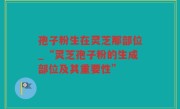 孢子粉生在灵芝那部位_“灵芝孢子粉的生成部位及其重要性”
