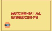 破壁灵芝哪种好？怎么选购破壁灵芝袍子粉