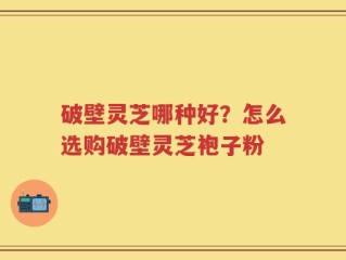 破壁灵芝哪种好？怎么选购破壁灵芝袍子粉