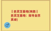 鄠邑灵芝基地(陕西鄠邑灵芝基地：探寻自然真谛)