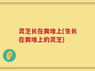 灵芝长在粪堆上(生长在粪堆上的灵芝)
