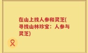 在山上找人参和灵芝(寻找山林珍宝：人参与灵芝)