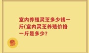 室内养殖灵芝多少钱一斤(室内灵芝养殖价格一斤是多少？