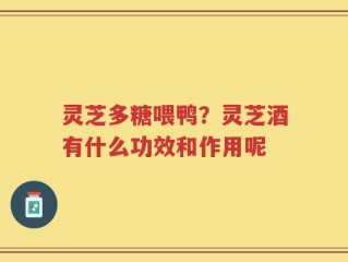 灵芝多糖喂鸭？灵芝酒有什么功效和作用呢