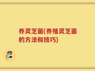 养灵芝菌(养殖灵芝菌的方法和技巧)